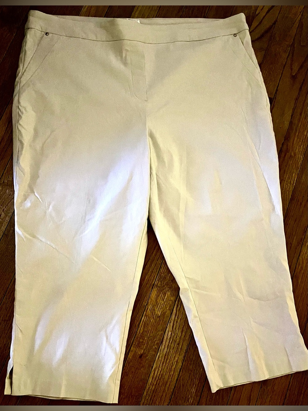 Tribal Capri in Beige Size-22W